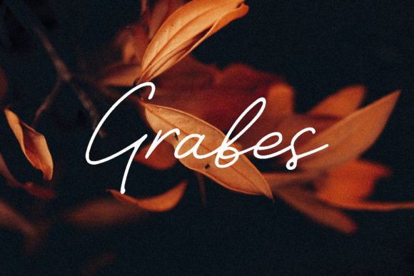 Grabes: A Romantic Script Font for Web Design