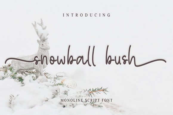 Snowball Bush: A Designer's Real-World Review