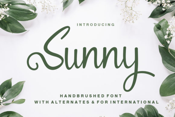 Sunny: An Elegant Handwritten Font for Branding