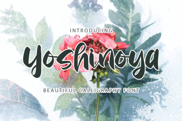 Yoshinoya: A Bold Script Font for Makers